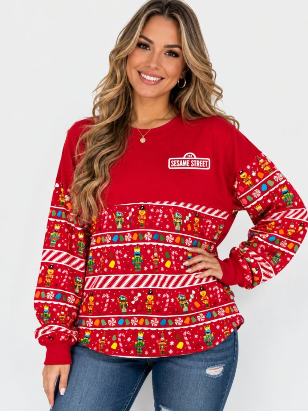 Spirit Jersey Sesame Street SeaWorld Busch Gardens Merry & Bright Christmas Top